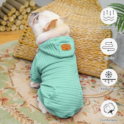 BEAUTYZOO Small Dog Hoodie Sweater with Pockets, Dog Clothes for Small Medium Dogs Boy Girl, Waffle-Like Laminated Cotton Pet Coats with Hat and Leash Hole, Mint Green XXS