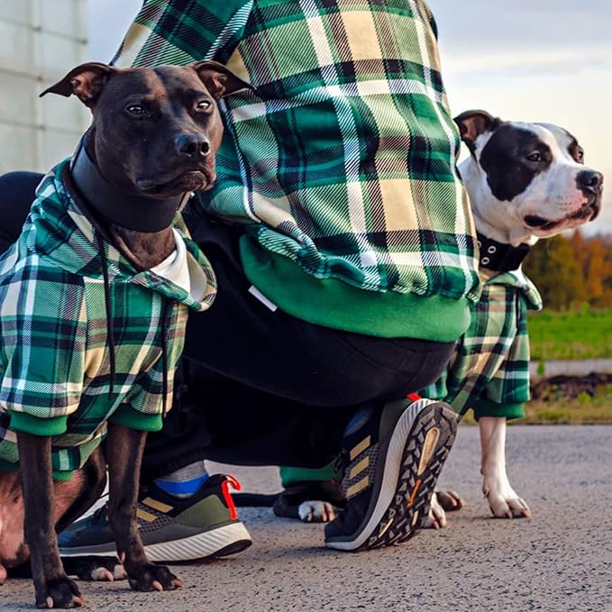 Spark Paws Human Hoodie - Premium Quality, Buttery Soft, Superior Comfort and Fit, Calming Fleece Interior, Suitable for All Styles – Green Plaid, L
