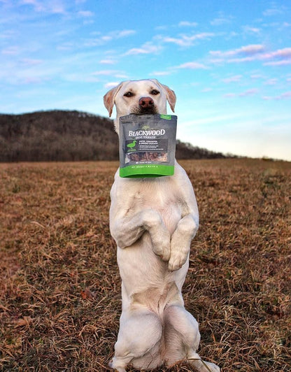 Blackwood Oven Baked Dog Treats, Duck with Apple, 8 Ounce Pouch, Training Treats for All Life Stages and Breed Sizes