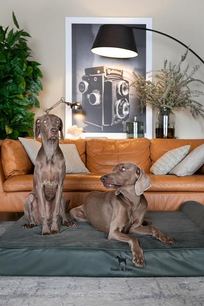 NOAH & PAW Giant Dog Bed XXL 55x45x9.5 Inch, Orthopedic Dog Beds, Eggshell Memory Foam Infused with Cooling Gel, Waterproof, Machine Washable, Includes Inner Cover (Faux Leather)