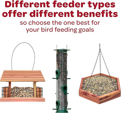 Kaytee Wild Bird Seed & Mealworm Seed Treat Cake, 6 Ounces