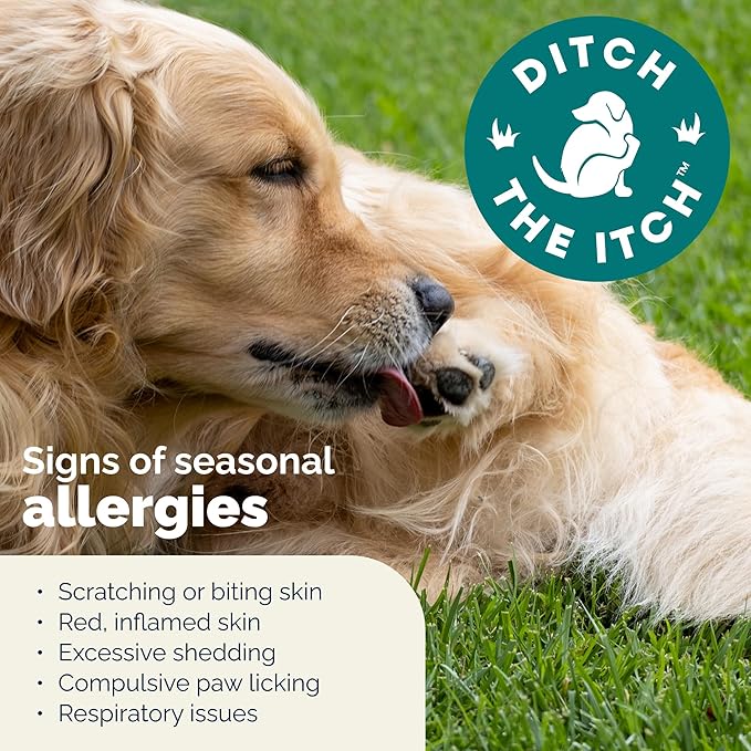 Vetnique DermaBliss Dog Allergy Chews for Seasonal Allergy Itch Relief, Skin & Gut Health with Probiotics and Omega 3 Blend - Advanced or Regular Strength (120ct, Regular Strength Chews)