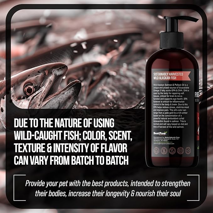 Best Paw Nutrition Wild Alaskan Salmon & Pollock Oil for Dogs & Cats – Fish Oil for Dogs Liquid Pump – Omega 3 EPA DHA – Skin & Coat, Itch & Shedding Support – Joint Supplement – 16 oz