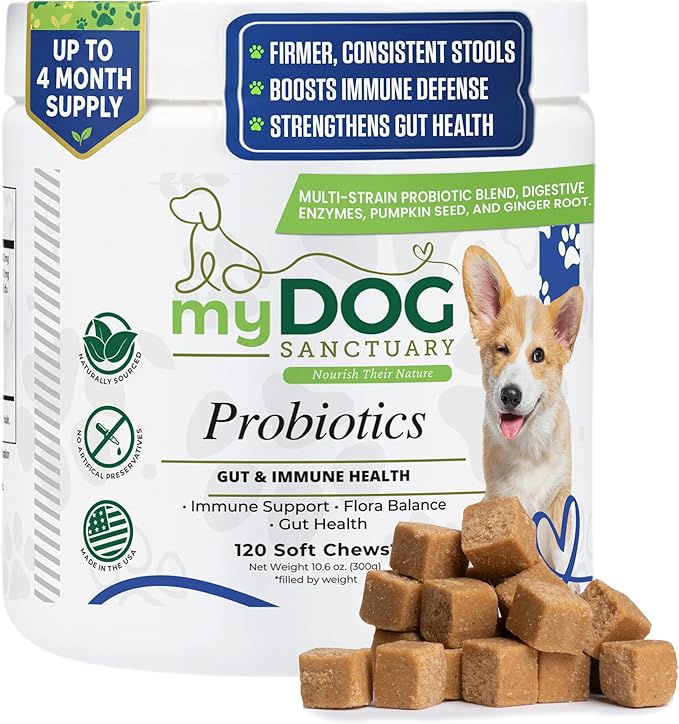 Probiotics for Dogs 120 Chews - Digestive Enzymes & Gut Health Support with Pumpkin Seed, Ginger Root – Dog Probiotics for Diarrhea, Bowel & Immune Support - Bacon Flavor, Soft Chews