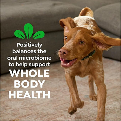 Greenies Veterinarian-Recommended Adult Natural Dental Dog Treats Teenie Size, Original Flavor, (4) 65 ct Packs (260 Treats)