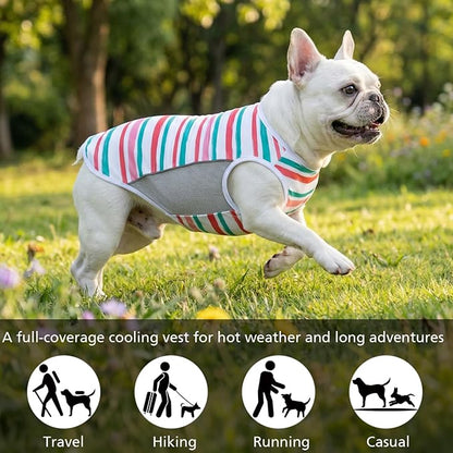 UPF 50+ Sun Protection Dog T-Shirt, 2 Pack Lightweight Sleeveless Dog Vest for Medium Dogs Girl – Reflective Strips, Quick-Dry Pet Apparel, Sports Fan Shirt P23ST00512XXL