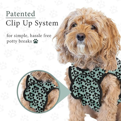 BellyGuard Dog Surgery Recovery Suit, Dog Onesie for Post-Op Care, Recovery Apparel for Female and Male, Surgical Body Cover for Canine Healing Support