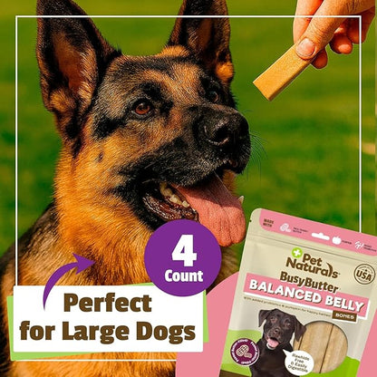 Pet Naturals BusyButter Balanced Belly Peanut Butter Bones, Rawhide-Free Chews for Medium/Large Dogs, Long Lasting Chew Bones, Probiotics and Pumpkin for Gut Health, 4 Count