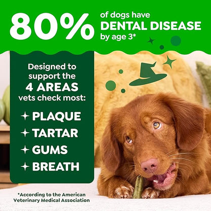 Greenies Veterinarian-Recommended, Limited-Edition Natural Dental Dog Treats Regular Size, Pumpkin Spice Flavor, 12 oz. Pack, 12 Count