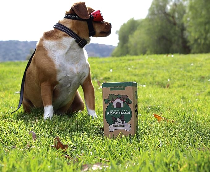 Dog Poop Bags 120 Piece, Biodegradable Poop Bags for Dogs and Cats, Heavy Duty Leak- Proof Pet Waste Bags, Lavender Scented and Thick, 8 Rolls, 9 x 13 Inch Each