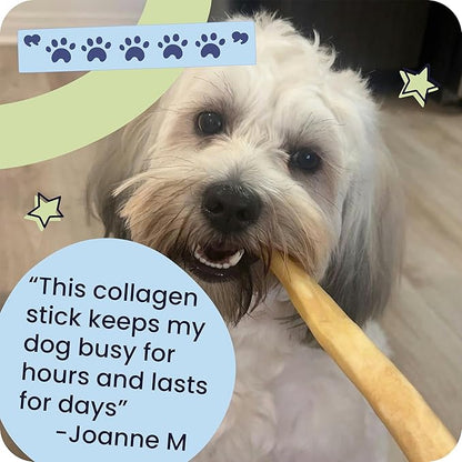Pawstruck Natural Large 12" Beef Collagen Sticks for Dogs – Long-Lasting Rawhide Alternative, High Protein Treats with Chondroitin & Glucosamine – 5 Pack