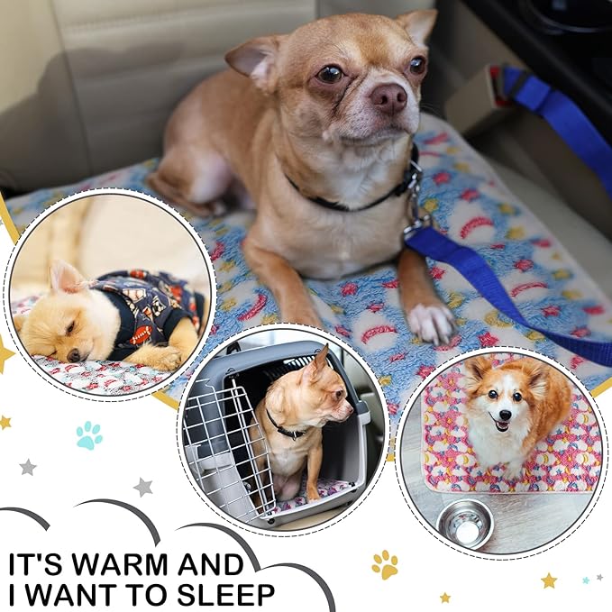 Small dog sitting on a colorful blanket with inset images of the dog in different scenarios.