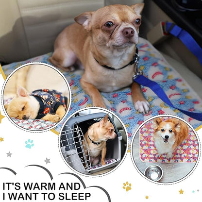 Small dog sitting on a colorful blanket with inset images of the dog in different scenarios.