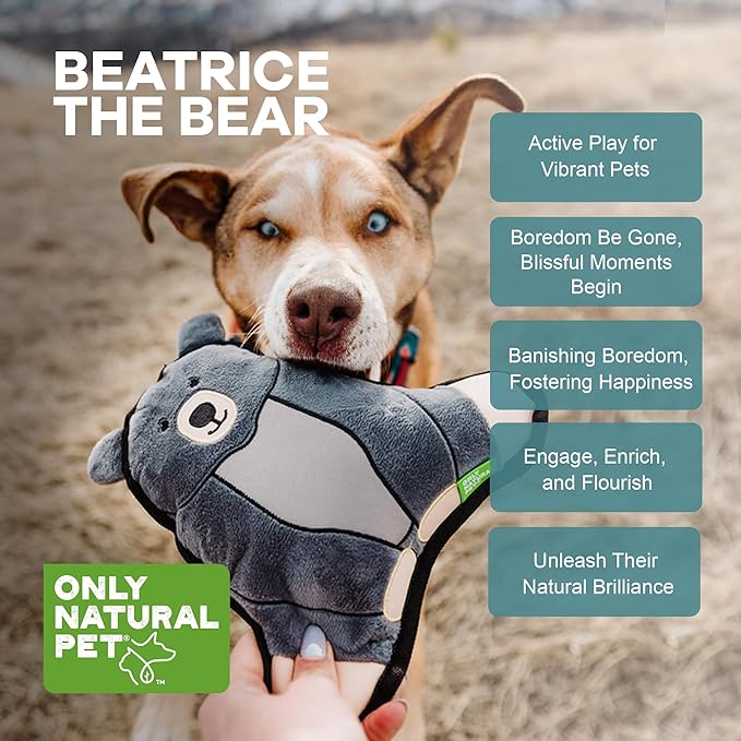 Only Natural Pet Mountain Friends Recycled Plush Dog Toys - Durable Double-Stitched Design with Internal Squeaker & Crinkly Ears - Stuffed Toy for Dogs, Squeaky Pet Toy | Beatrice The Bear, 9" x 9.5"