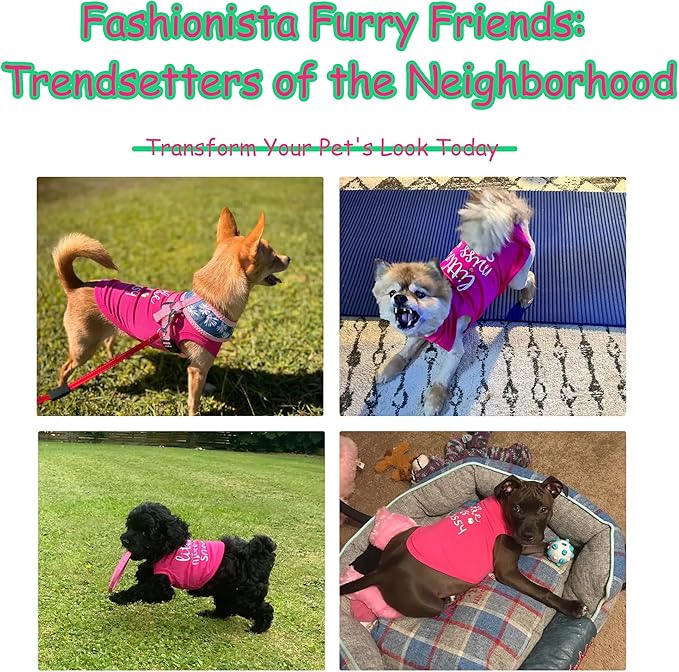 Paiaite Dog Clothes Fashionable Sleeveless Pet Vest: 'Little Miss Sassy' Printed Cotton Dog Shirt, Ideal for Small, Medium, and Large Breeds, Ensuring Comfort and Breathability Orange XXL
