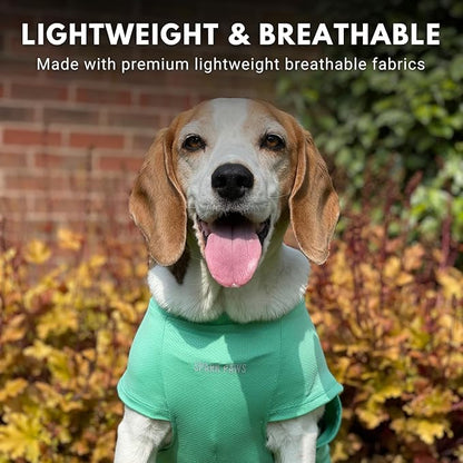 Spark Paws Sunblock Dog T-Shirt, SPF30 Protection, Lightweight Breathable Quick Dry for Dogs with Sensitive Skin - Blue & Mint (Set of 2) - XL