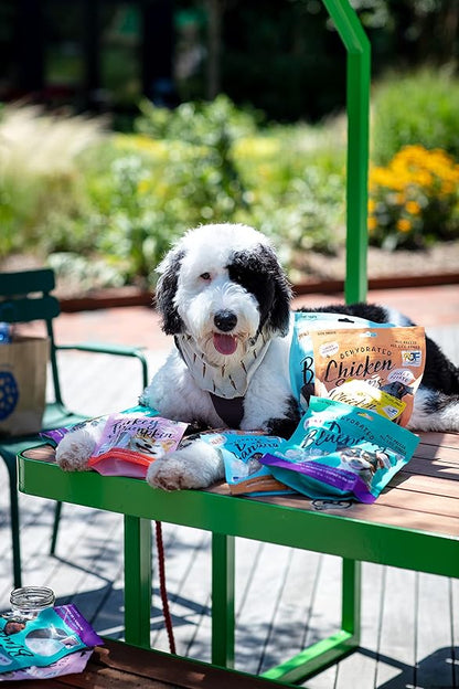 Pet Jerky Factory Premium Turkey and Pumpkin 5 oz. Dog Jerky Treats | 100% Human Grade | USA Made | High Protein | Grain Free | Limited Ingredients | No Filler | BHA-BHT Free | Soft-Tender