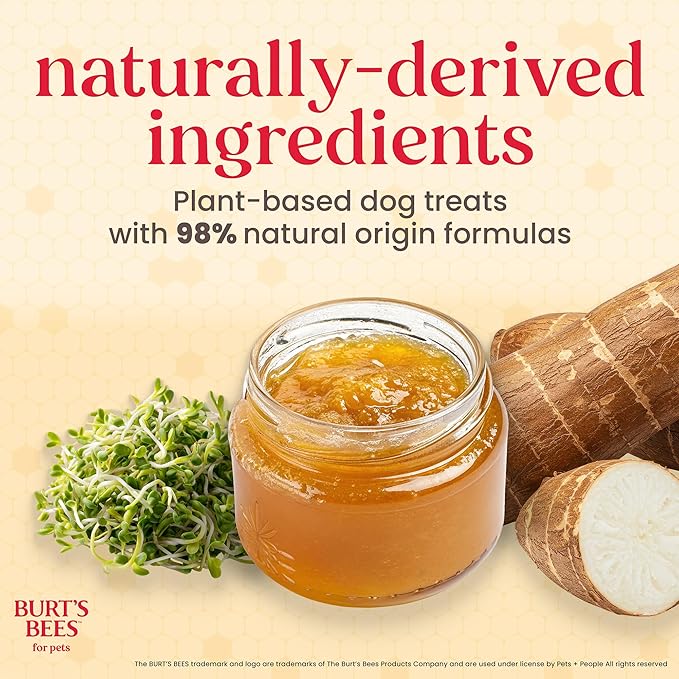 BURT'S BEES FOR PETS Dental Treats for Dogs with Manuka Honey & Ginger, Holistic, Plant-Based Oral Care, 98% Natural Origin Formulas, Sweet Potato Flavor, Dog Treats Small Dogs, Sz Sm 10ct, 7 oz