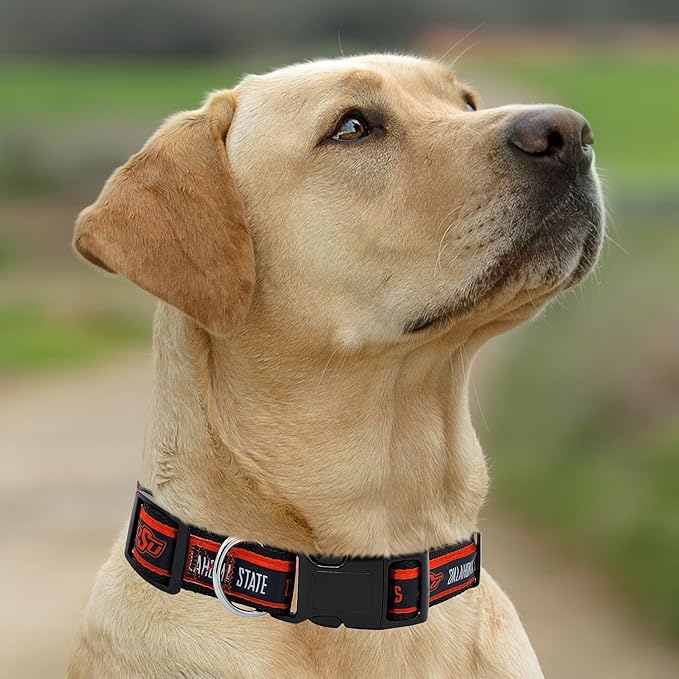 Pets First Collegiate PET Collar New Version Oklahoma State Cowboys Dog Collar, Size Small. Best Sports Team Color for Dogs & Cats. A Shiny & Colorful Dog & Cat Collar Licensed by The NCAA
