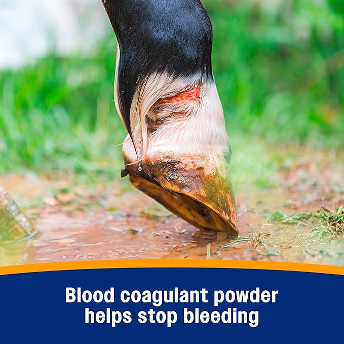 Farnam Wonder Dust Wound Powder, Blood Coagulant for Horses and Show Stock, For Use on Proud Flesh, Granulated Tissue, 4 Ounces