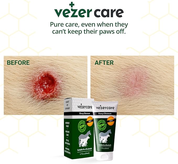 Honey Balm Ointment with Spruce Resin for Dogs, Cats & Horses, Wound Care Gel, Hot Spot Treatment for Dogs, Itchy Skin Relief, Dog and Cat Wound Care, 1.7oz, Made in Finland, Antifungal & Steroid Free