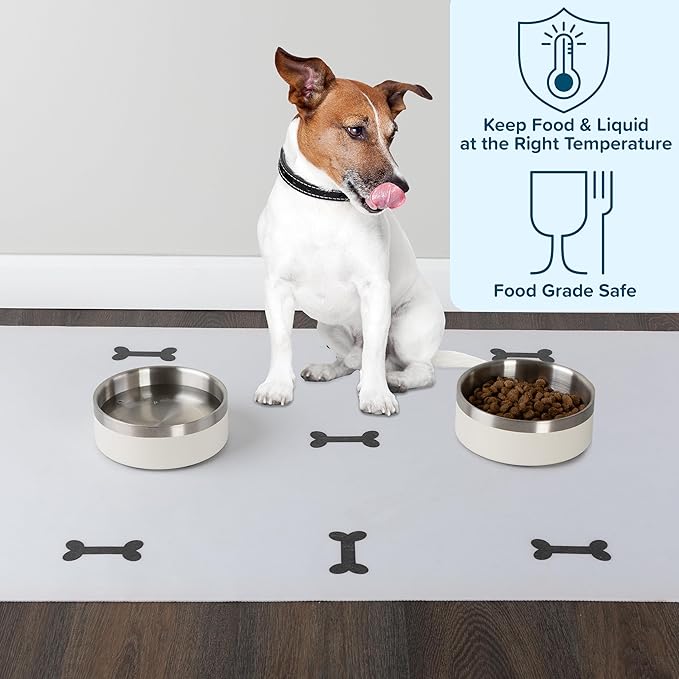 Set of 2 Stainless Steel Dog Bowls - 32oz or 4 Cups Double Wall Insulated Food and Water Bowls for Dogs and Cats, Non Slip Metal Pet Dishes for Small-Medium Pets, Puppy Essentials by PETMAKER (Cream)