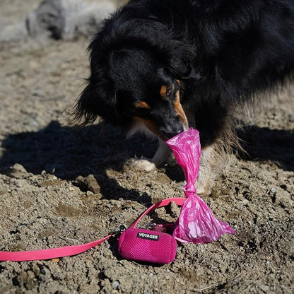 Best Pet Supplies Dog Poop Bags for Waste Refuse Cleanup, Doggy Roll Replacements for Outdoor Puppy Walking and Travel, Leak Proof and Tear Resistant, Thick Plastic - Pink Heart, 240 Bags