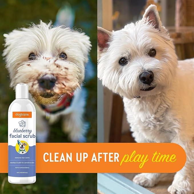 Dogtopia Blueberry Facial Scrub for Pets | Gentle Face-Cleaning Scrub (16oz) | Blueberry-Scented Wash to Remove Tear Stains | Promotes Clean and Fresh Face for Pets