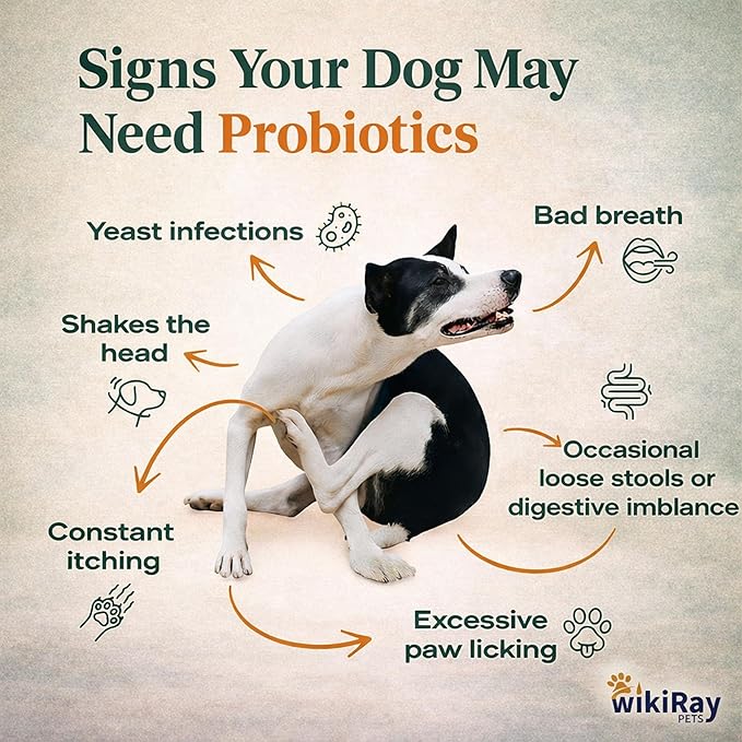 wikiRay Probiotics for Dogs – Soft Chews for Digestive Health & Immunity | 120 Chews | 3 Billion CFU, Pumpkin, Enzymes, Vitamins & Prebiotics | Made with Natural Ingredients