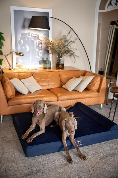 NOAH & PAW Giant Dog Bed XXL 55x45x9.5 Inch, Orthopedic Dog Beds, Eggshell Memory Foam Infused with Cooling Gel, Waterproof, Machine Washable, Includes Inner Cover (Denim Collection)