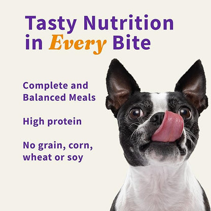 Halo Freeze Dried Raw Dog Food, Beef Recipe, 100% Protein Source, Real Meat for Natural Energy, Meal Bites, 14 Oz Bag