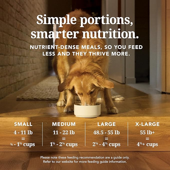 K9 Natural Lamb Freeze Dried Dog Food, High-Meat Natural Complete Meal or Meal Toppers for Dogs, Grass-Fed Lamb from New Zealand, Grain-Free, GMO-Free, Complete & Balanced Nutrition, 4lb