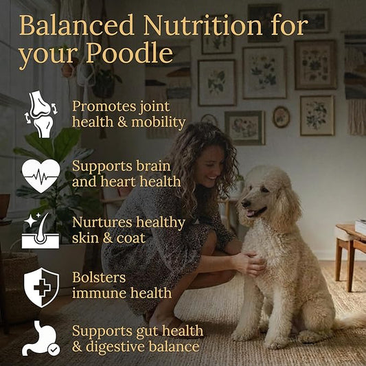 Multivitamins, Balanced Nutrition for Your Poodle, 90 Count, Made in The USA with Real Bacon