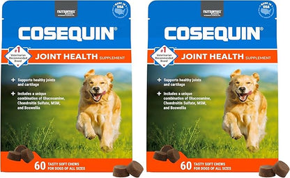 Nutramax Laboratories Cosequin DS Plus MSM Professional Line for Dogs,60 Soft Chews,(Pack of 2)