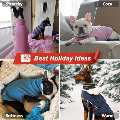 KYEESE 2Pack Dog Sweater Soft Lightweight Dogs Clothes Warm Pets Fleece Sweater Stretchy Pet Coat Turtleneck Dog Outfit for Small Dogs Boy Girl Comfy Sleeveless Doggie Sweatshirt Red,L