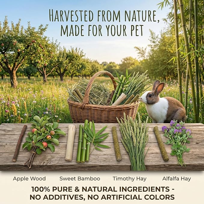 Bunny Chew Stick Rabbit Toy Treat 140g 4 in 1 Molar Stuff Organic Natural Snack Apple Branch Sweet Bamboo Timothy Hay Alfalfa Food Clean Teeth Hamster Chinchilla Parrot Gerbil Squirrel