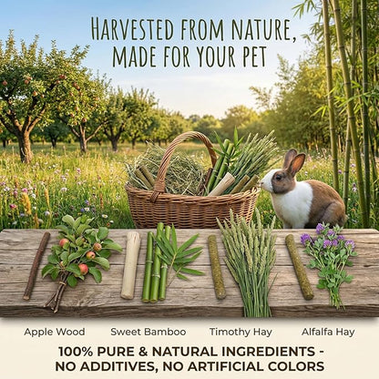 Bunny Chew Stick Rabbit Toy Treat 140g 4 in 1 Molar Stuff Organic Natural Snack Apple Branch Sweet Bamboo Timothy Hay Alfalfa Food Clean Teeth Hamster Chinchilla Parrot Gerbil Squirrel