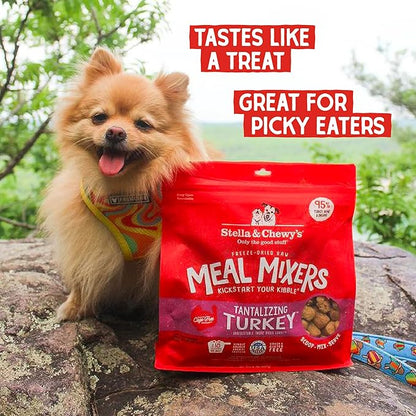 Stella & Chewy's Freeze-Dried Raw Tantalizing Turkey Meal Mixers- Dog Food Topper and Mixer - Made with 95% Cage-Free Turkey, Organs & Bone - Perfect for Picky Eaters - Grain-Free - 1 oz