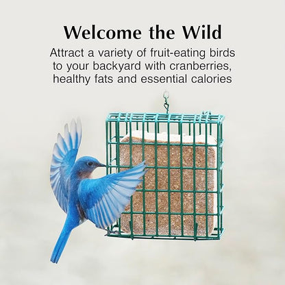 C&S Cranberry Delight No Melt Suet Dough, Suet Cakes for Wild Birds Including Robins, Blue Jays, Bluebirds, Tanagers, Thrushes and More, 8 Pack