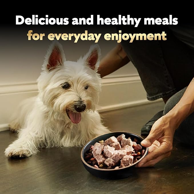 Cesar Classic Loaf in Sauce Adult Wet Dog Food Chicken and Beef Recipe, Wet Food for Dogs, 3.5 oz Easy Peel Trays, 24 Count