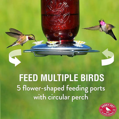 Perky-Pet Red Mason Jar Vintage Glass Hummingbird Feeder - Outdoor Garden Décor - 32-oz capacity, 786-1SR