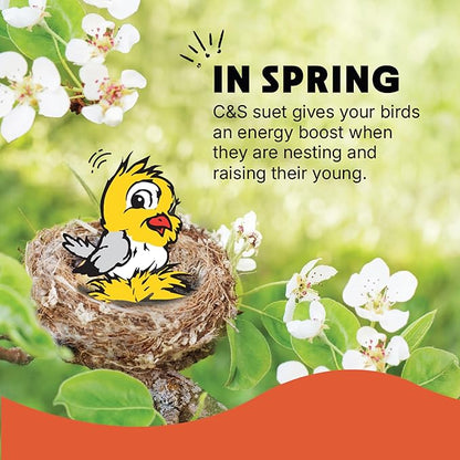 C&S High Energy Delight No Melt Suet Dough, Suet Cakes for Wild Birds Including Woodpeckers, Nuthatches, Chickadees and More, Pack of 8