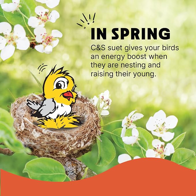 C&S Mealworm Suet Treat, Suet Cakes for Wild Birds, 11 Ounces