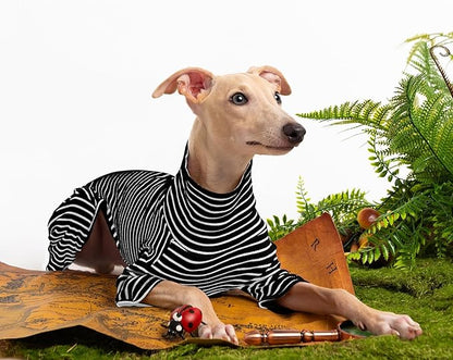 Dog Sweaters for Small Dogs Girls Boys, Striped Pet Sweaters for Fall Winter Dog Clothes, Turtleneck Pullover Knitwear for Small Medium Large Dogs