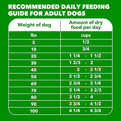 IAMS Proactive Health Dry Dog Food, Adult Dog Food Dry Recipe, Beef & Rice Recipe, 30 lb. Bag