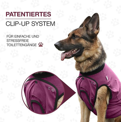 BellyGuard Dog Surgery Recovery Suit, Dog Onesie for Post-Op Care, Recovery Apparel for Female and Male, Surgical Body Cover for Canine Healing Support