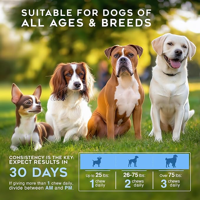 Gargeer Daily Probiotics & Prebiotics for Dogs. Supports Healthy Digestion, Gut Flora & Proper Immune System. for All Dog Breeds & Ages, 60 Delicious Duck Flavored Soft Chews. Made in the USA. Enjoy!