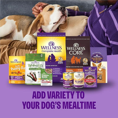 Wellness Complete Health+ Small Breed Adult Dry Dog Food with Freeze Dried Wellbites, Wholesome Grain Kibble+, Natural, Turkey and Oatmeal Recipe, 3.75 lb Bag