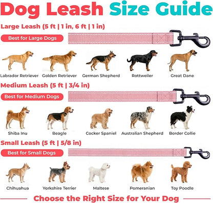Best Pet Supplies Voyager Reflective Dog Leash or Collar with Neoprene Handle, for Small, Medium, and Large Breed Puppies, Cute and Heavy Duty for Walking, Running and Training - Pink (Leash), L