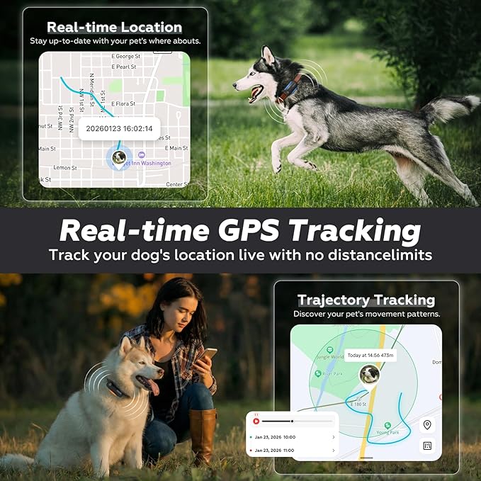 DBDD AI GPS Tracker for Dogs (30lbs+), Real Time Location and AI Health Assistant, Electronic Fence, Waterproof, iOS and Android Universal (D5-Black)